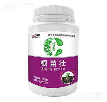 �����-��֥��-������