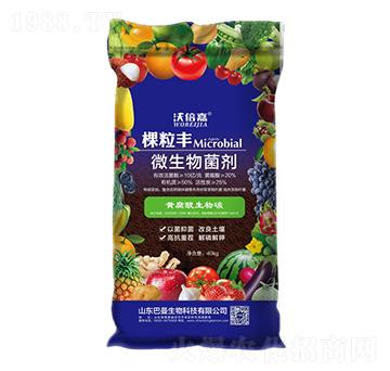 ΢�������-�w���S-��������