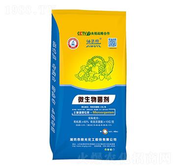 ΢���������10�|�����-������-ꖹ⻯��