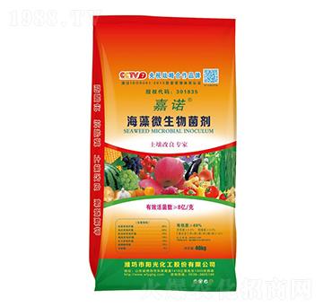 ����΢�������-���Z-ꖹ⻯��