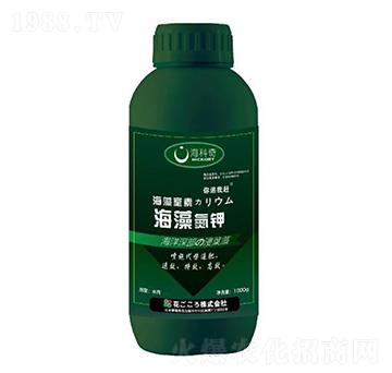 ���嵪�-������