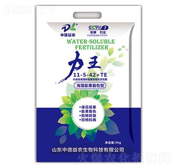 ���������ɫ��11-5-42+TE-����-�е����r(n��ng)