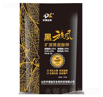 �VԴ�S�����-�����L-�е����r