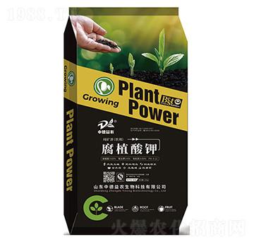 ��ֲ���-�е����r