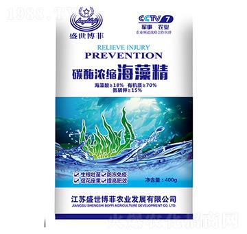 ̼ø��s���徫-ʢ������-�е����r