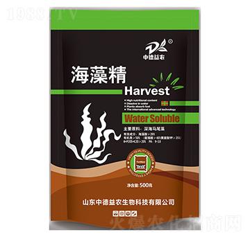 ���徫-�е����r