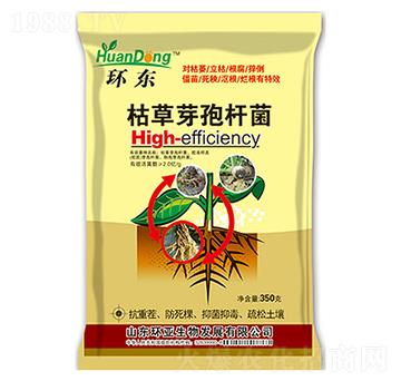 �ݲ�ѿ�ߗU��-�h(hu��n)�|-�е����r