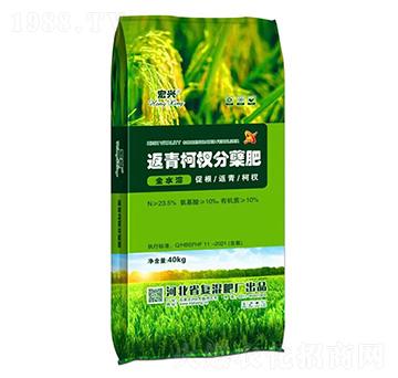 �����(qu��n)���Y��-���d