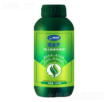 ������������ʹ���Ԫ��ˮ�ܷ���-����-������