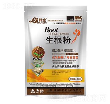 ������-�n��-�n��ʘI(y��)