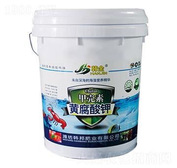 �ך����S�����-�n��-