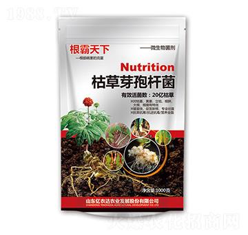 �ݲ�ѿ���U��-��������