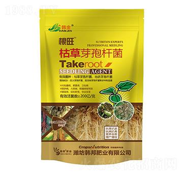 �ݲ�ѿ�ߗU��-����-�n