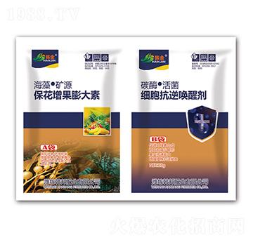 �������������-��(x��)����