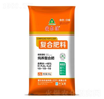 ���B(y��ng)���Ϗ�(f��)�Ϸ���19-19-10-�۠���