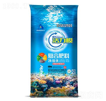 ����Ĥ�ͺϷ���24-10-14-�۠���