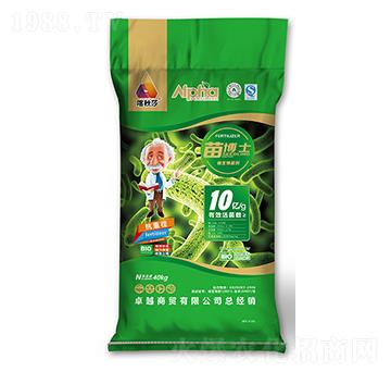 10�|����粩ʿ����-����ɯ-�۠���