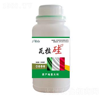 ������-�۠���