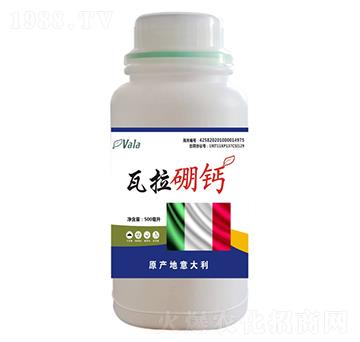 �������}-�۠���