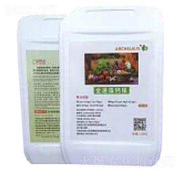 ȫ�����}�V-��ͫ����