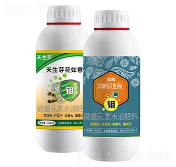 ���Q������+����ѿ������-���Q