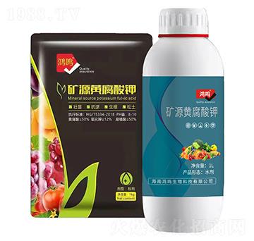 �VԴ�S�����-���Q