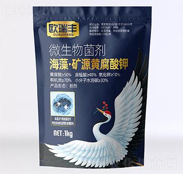 ���塤�VԴ�S�����-�W���S