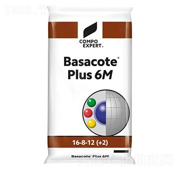 �^�p�@ˇ��16-8-12��6M��-���_��-����