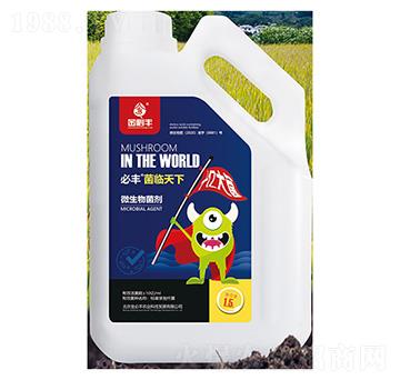 ΢�������-���R����-