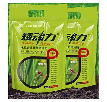 ˮ�����Y�їU��ʩ��-����(d��ng)��-����S