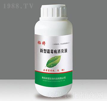 ̧��-�����A