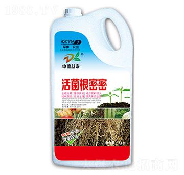 ���������-�е����r