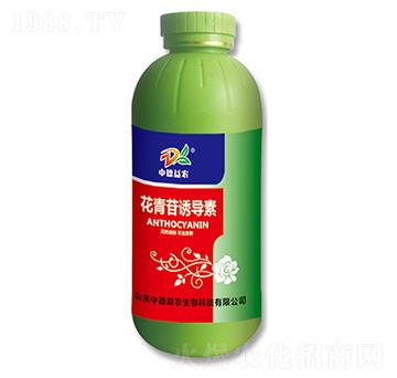 �������T��(d��o)��-�е����r(n��ng)