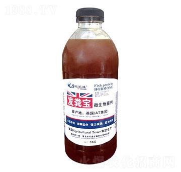 ΢�������-�l(f��)�S��-�r(n��ng)��������