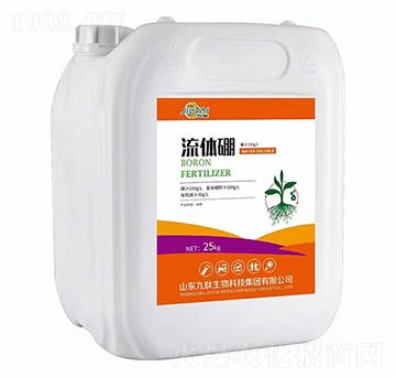 ���w��-��������