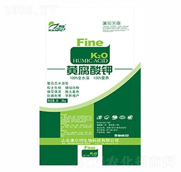 �S�����-������