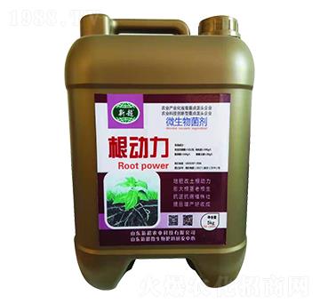 ΢�������-����(d��ng)��-�³��r(n��ng)�I(y��)