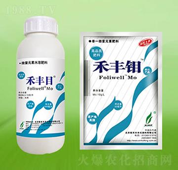 ���SĿ-�º��S