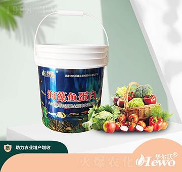 �����~����-��ķ��-�A����