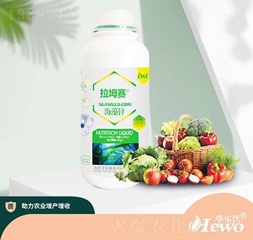 �����\-����ِ-�A����