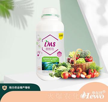 �Ǵ��F-����ِ-�A����