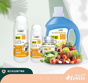 �Ǵ���-�A����