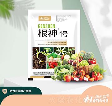 ����1̖(h��o)-�A����