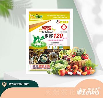 ���a����120-�A����