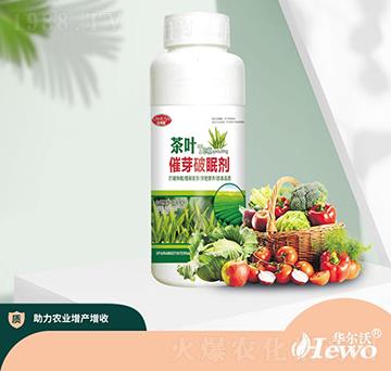 ���~��ѿ���߄�-�A����