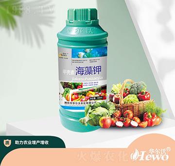 �ך��ء������-�A����