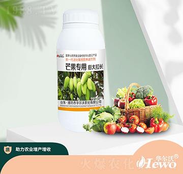 â������������L-�A����