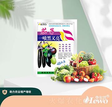 ����һ��������-�A����