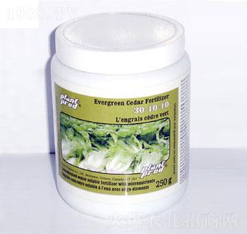 �ߵ���30-10-10-���_��-�������r(n��ng)�Q(m��o)