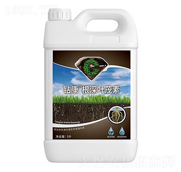 �@�������~ï��-�����ط�